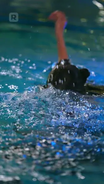 ชาตินี้ ฉันกลับมาเพื่อชดใช้กรรมรัก