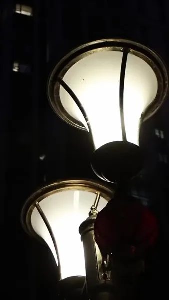 ฮู้โชว์ของเจ้าสาวที่แต่งงานแทน