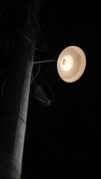 กลับบ้าน! ให้แม่มี