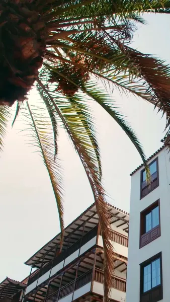 พายุร้ายพัดพาใจสู่ชีวิตใหม่	(พากย์ไทย)