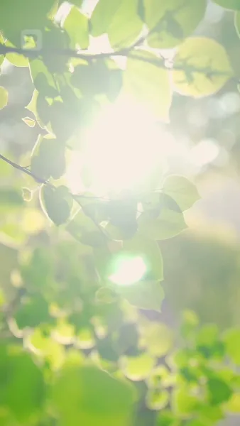 (พากย์) ด้านมืดของสาวดี