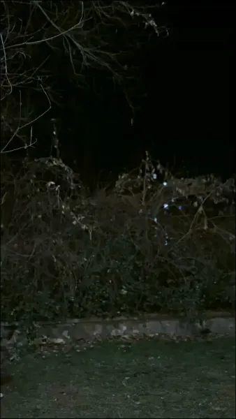 ชีวิตที่ให้ทั้งสุขและทุกข์