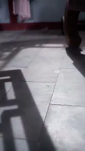 ถังหนิงจะปลดสามี