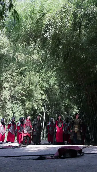 ถังหนิงจะปลดสามี