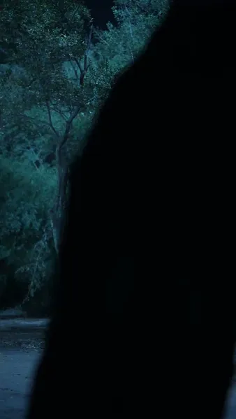 ถังหนิงจะปลดสามี