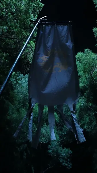 ถังหนิงจะปลดสามี