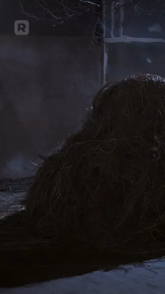 หญิงสาวผู้นำโชค