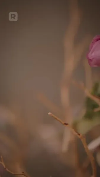 สัญญาของเศรษฐี