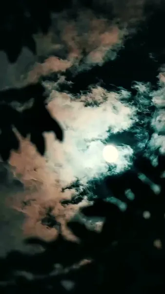 หนี้รักใต้เงาจันทร์