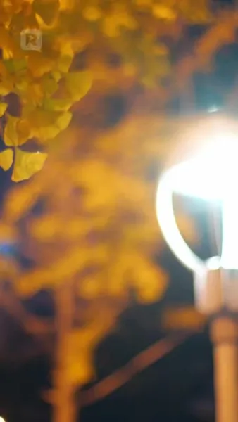 พลังของความรัก: หัวใจของมหาเศรษฐีพิการ