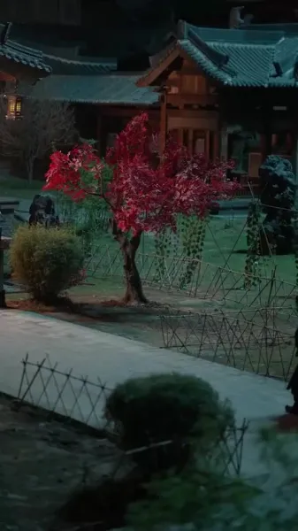 การก้าวขึ้นของสาวใช้ตระกูลขุนนาง