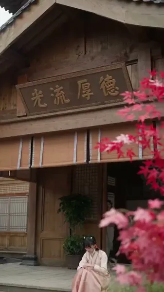 การก้าวขึ้นของสาวใช้ตระกูลขุนนาง