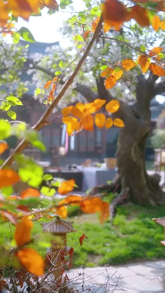 ข้ามเวลามาแอบอู้ในวัง