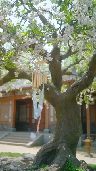 ข้ามเวลามาแอบอู้ในวัง