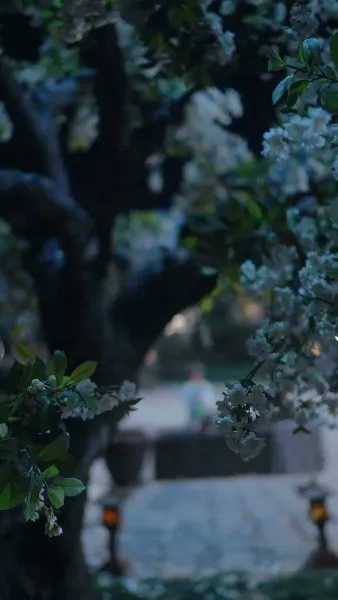 ข้ามเวลามาแอบอู้ในวัง