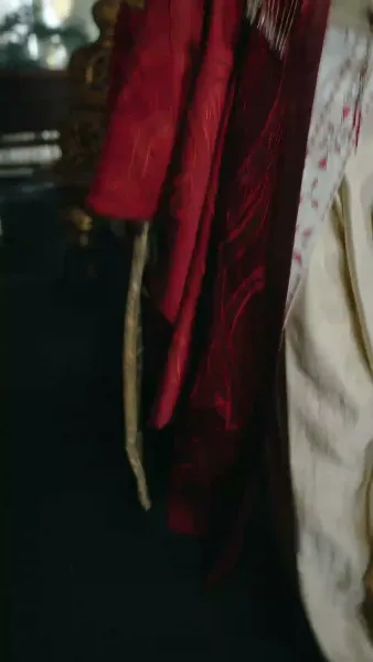 ข้ามเวลามาแอบอู้ในวัง