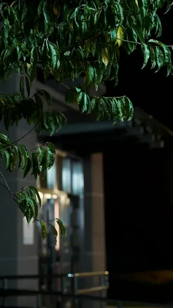 ภารกิจรัก ฉบับคุณพ่อลูกแฝด