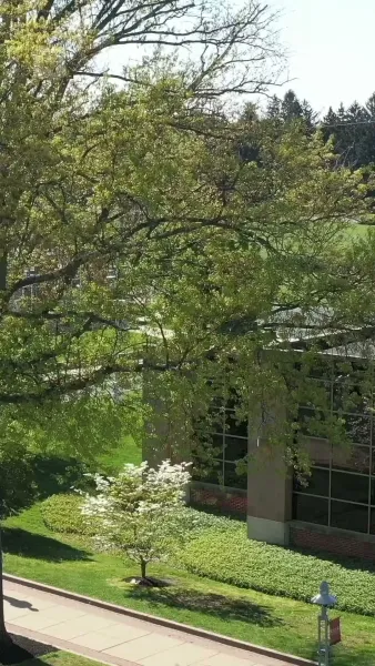 เกรด A วิชาตั้งครรภ์