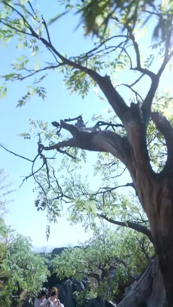 องค์หญิงทวง