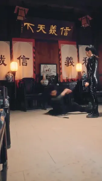 (พากย์เสียง)จอมยุทธ์เงา