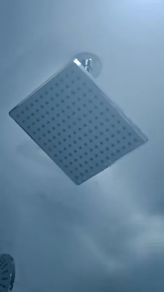 ฉันไม่ใช่เด็กดีของคุณ