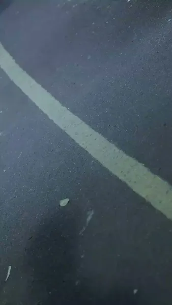 เมียฉัน สวยที่สุด