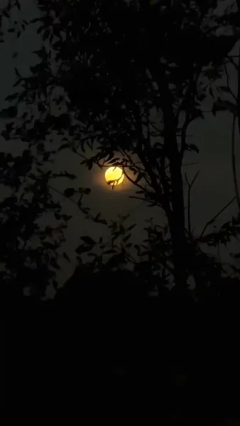 ระบบพิชิตเมียแล้วเป็นใหญ่