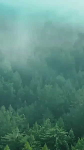 รัตติกาลแห่งความแค้น