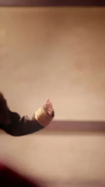 เมียหลวงข้ามภพกับสี่จอมแก่น