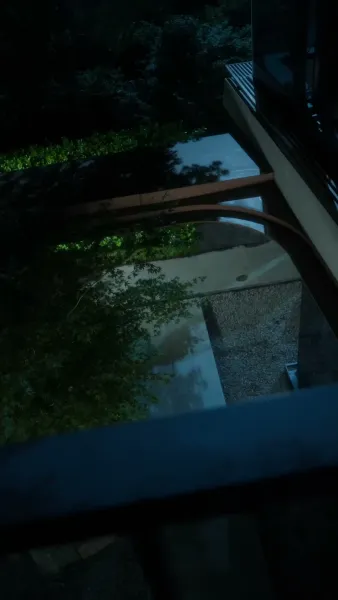 รักเก่าโรยรา รักใหม่ผลิใบ