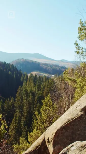 ฮาร์ต-เบรกเกอร์