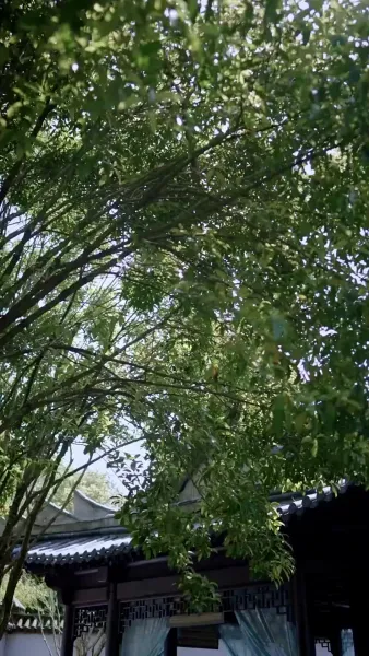 เกรงว่าจะสายไป