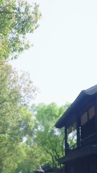 เกรงว่าจะสายไป