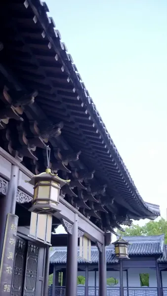 เกรงว่าจะสายไป