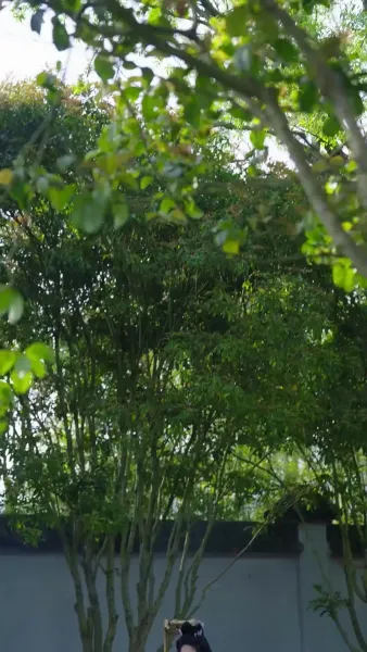 เกรงว่าจะสายไป