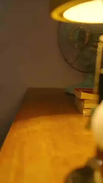 ฉันย้อนเวลา กลับไปเป็นแม่เลี้ยง