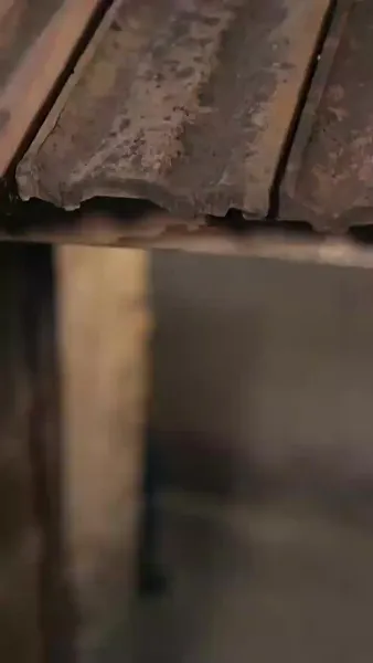 ฉันย้อนเวลา กลับไปเป็นแม่เลี้ยง