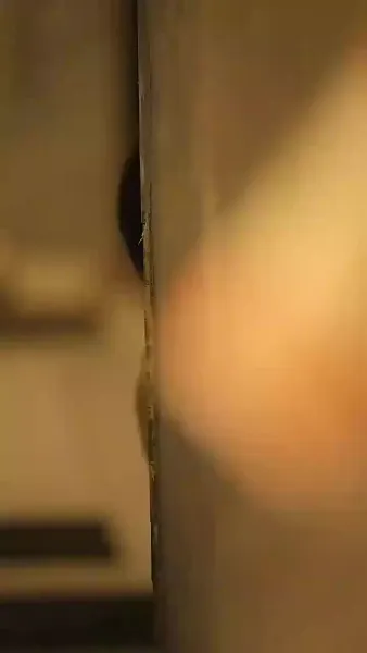 ฉันย้อนเวลา กลับไปเป็นแม่เลี้ยง