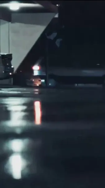 กับดักหัวใจของเขา(พากย์เสียง)