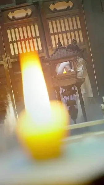 ฟีนิกซ์เลือกต้นไม้ดีเพื่อพักพิง