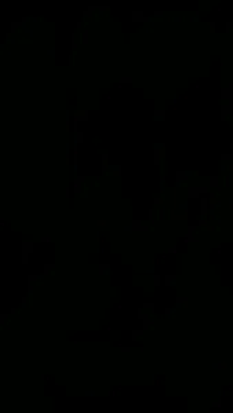 [พากย์ไทย] ลิขิตรักหมอหญิง