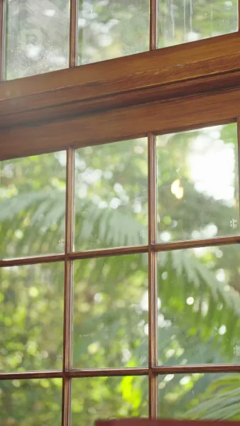 ศาสตราจารย์คะคุณคือพ่อของลูกฉัน