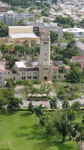 ศาสตราจารย์คะคุณคือพ่อของลูกฉัน