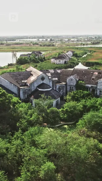 ศาสตราจารย์คะคุณคือพ่อของลูกฉัน