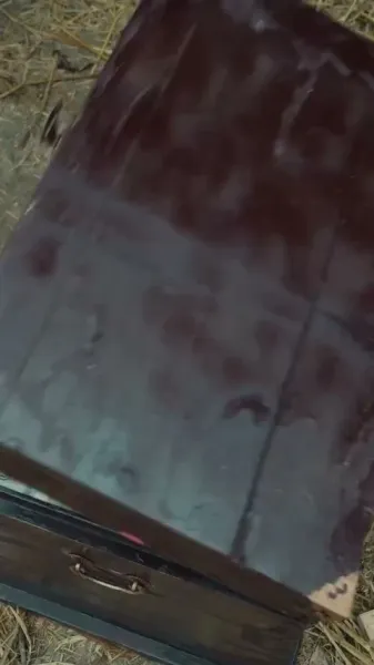 ราชาแห่งการสั่งซื้อร่วมยุคโบราณ