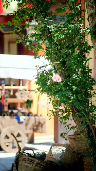 หมอหญิงผู้นี้คือจักรพรรดินี