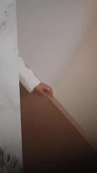 คำสาปดอกท้อ