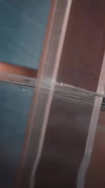 คำสาปดอกท้อ