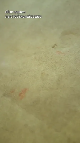 ยอดตำนานหวนคืนบัลลังก์