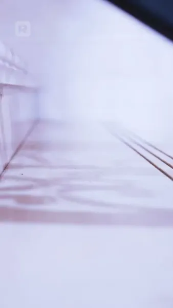 สาวใหญ่กับหมาน้อย